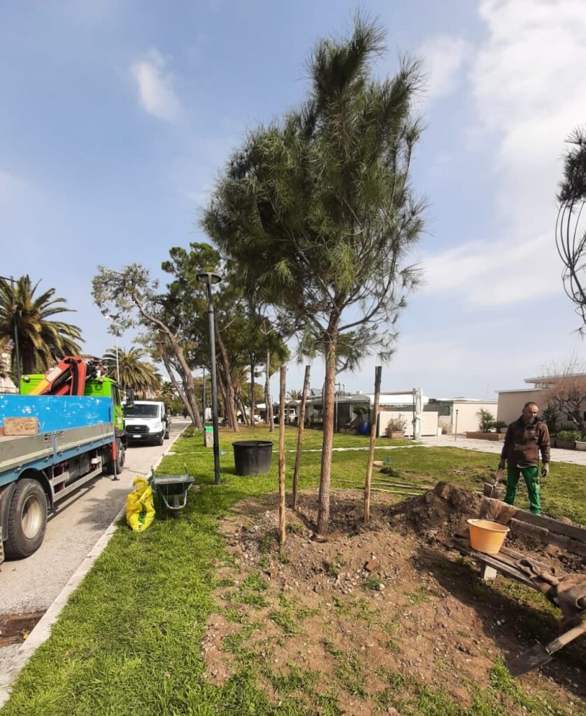 Lavori in corso pinete lungomare