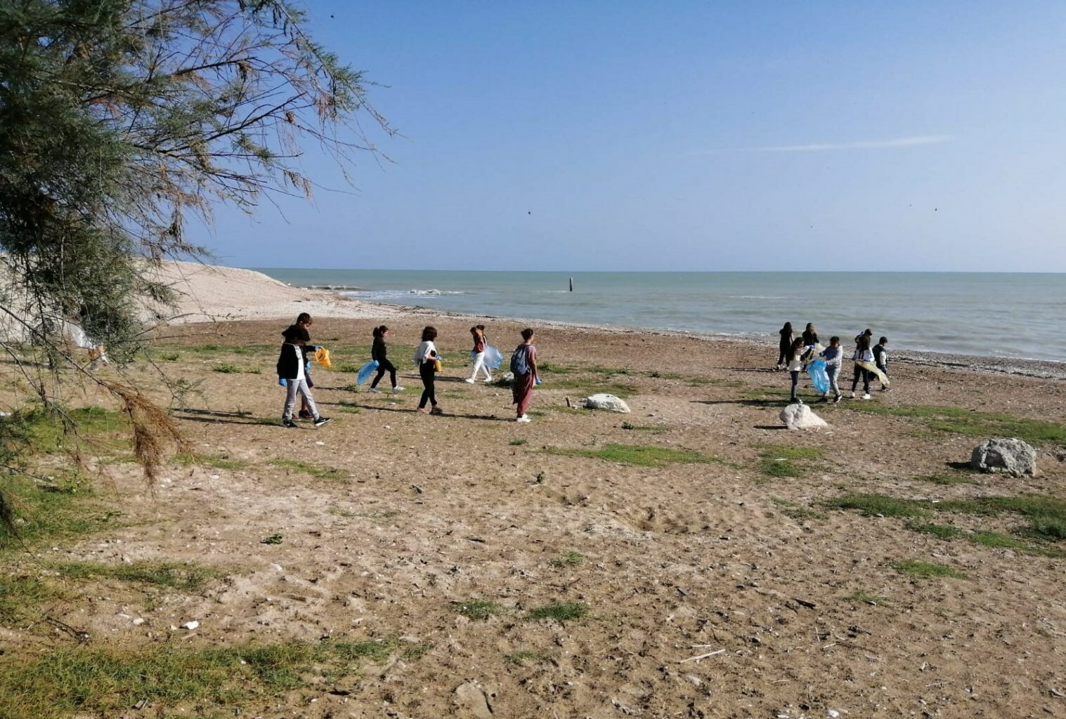 Puliamo il Mondo Dog Beach