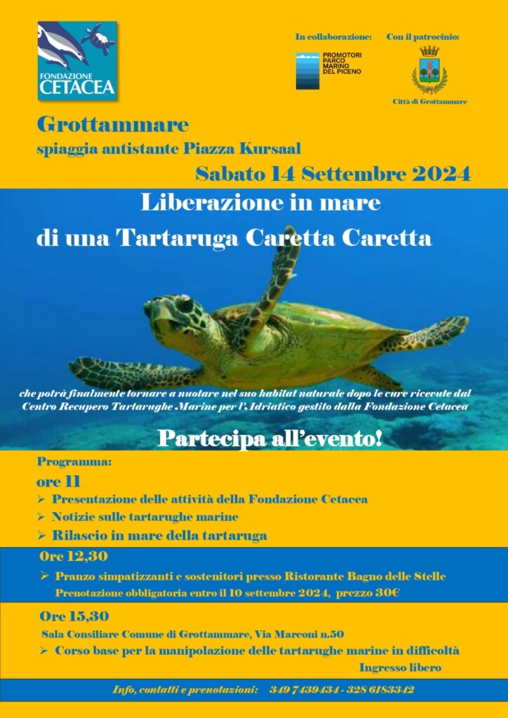 Locandina rilascio Tartaruga Caretta Caretta